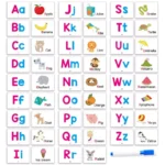 27 First Words Flashcards Alphabets ABC Animal Cards with 1 pen Scholastic Early Learners Educational Chidlren Kids Toys Gifts